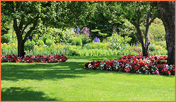 Landscaped Yard