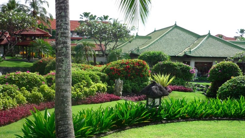 Yard