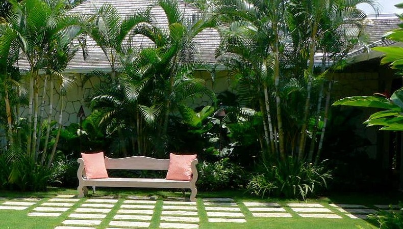 Bench and Trees